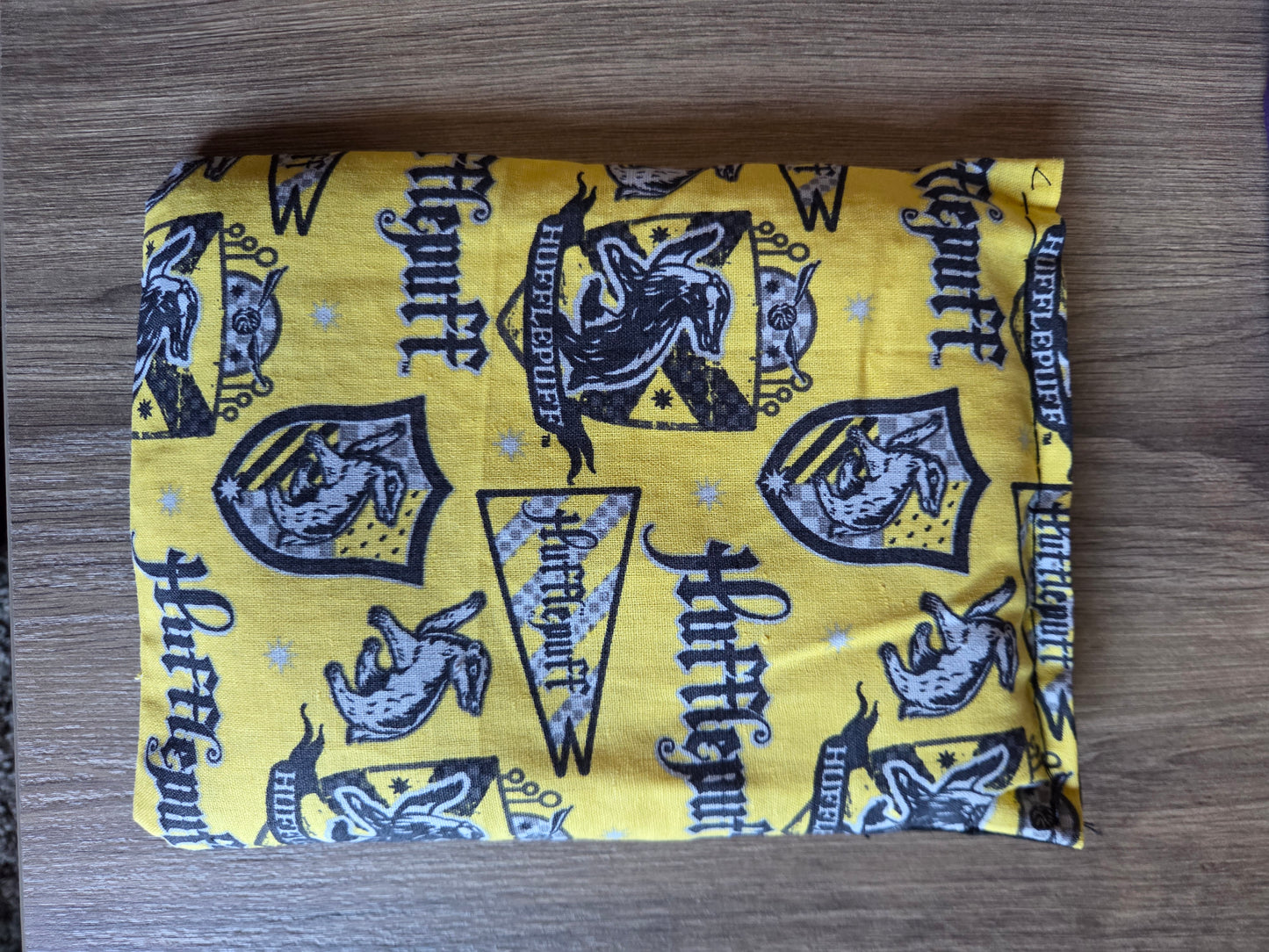 Harry Potter Ouch Pouch